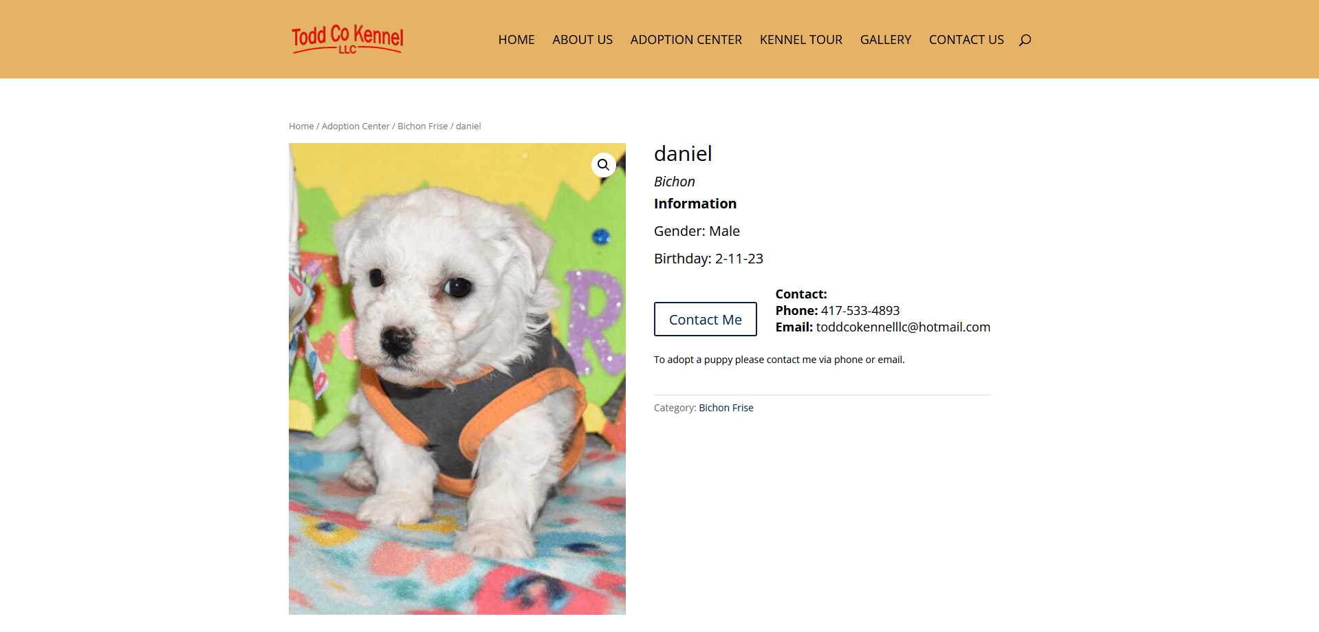 A dog up for adoption at toddcokennel.com